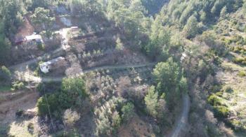 ANAMUR KORUCUKTA MÜSTAKİL SATILIK ZEYTİN VE AVOKADO BAHÇESİ
