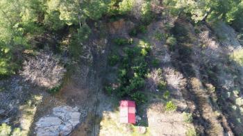 ANAMUR KORUCUKTA MÜSTAKİL SATILIK ZEYTİN VE AVOKADO BAHÇESİ