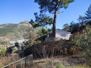 ANAMUR KORUCUKTA MÜSTAKİL SATILIK ZEYTİN VE AVOKADO BAHÇESİ