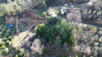 ANAMUR KORUCUKTA MÜSTAKİL SATILIK ZEYTİN VE AVOKADO BAHÇESİ