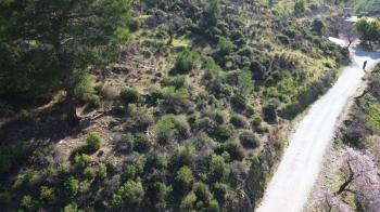 ANAMUR DEMİRÖREN'DE MÜSTAKİL PORTAKAL BAHÇESİ VE TARLA