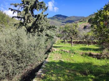 ANAMUR DEMİRÖREN'DE MÜSTAKİL PORTAKAL BAHÇESİ VE TARLA