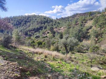 ANAMUR DEMİRÖREN'DE MÜSTAKİL PORTAKAL BAHÇESİ VE TARLA