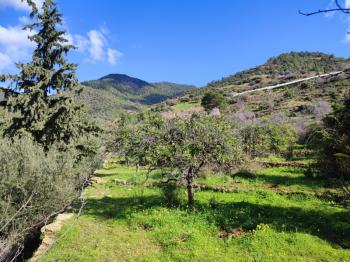 ANAMUR DEMİRÖREN'DE MÜSTAKİL PORTAKAL BAHÇESİ VE TARLA