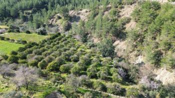 ANAMUR DEMİRÖREN'DE MÜSTAKİL PORTAKAL BAHÇESİ VE TARLA
