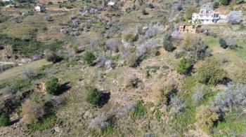 ANAMUR UCARIDA SATILIK 11500 M2 TARLA
