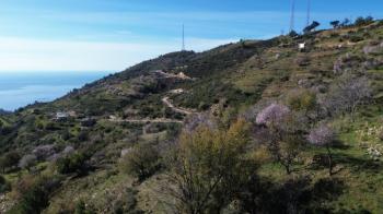 ANAMUR UCARIDA SATILIK 11500 M2 TARLA
