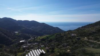 ANAMUR UCARIDA SATILIK 11500 M2 TARLA
