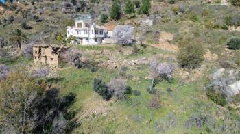 ANAMUR UCARIDA SATILIK 11500 M2 TARLA