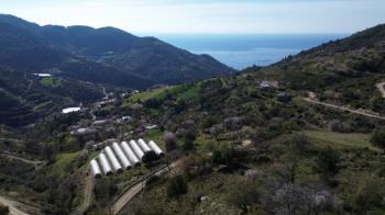 ANAMUR UCARIDA SATILIK 11500 M2 TARLA