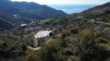ANAMUR UCARIDA SATILIK 11500 M2 TARLA