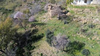 ANAMUR UCARIDA SATILIK 11500 M2 TARLA