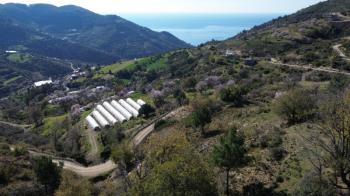 ANAMUR UCARIDA SATILIK 11500 M2 TARLA