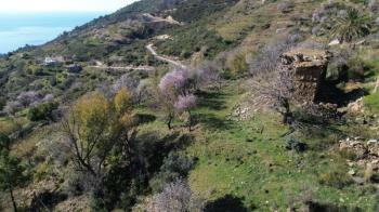 ANAMUR UCARIDA SATILIK 11500 M2 TARLA