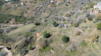 ANAMUR UCARIDA SATILIK 11500 M2 TARLA
