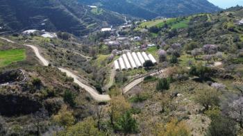 ANAMUR UCARIDA SATILIK 11500 M2 TARLA