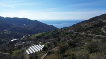 ANAMUR UCARIDA SATILIK 11500 M2 TARLA