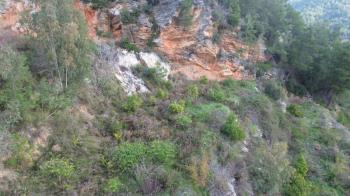 ANAMUR OVABAŞI SATILIK 9000 M2 TARLA
