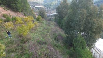 ANAMUR OVABAŞI SATILIK 9000 M2 TARLA