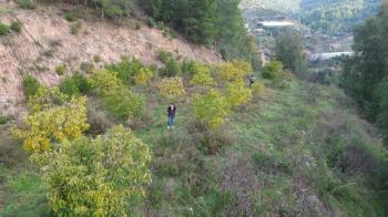 ANAMUR OVABAŞI SATILIK 9000 M2 TARLA