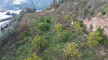 ANAMUR OVABAŞI SATILIK 9000 M2 TARLA