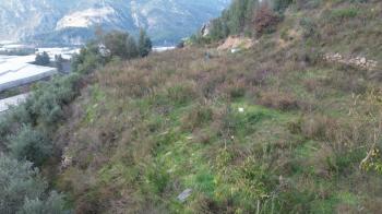 ANAMUR OVABAŞI SATILIK 9000 M2 TARLA