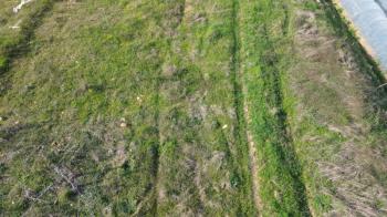 ANAMUR MALAKLAR 5000 M2 TARLA