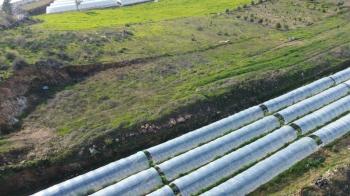 ANAMUR MALAKLAR 5000 M2 TARLA