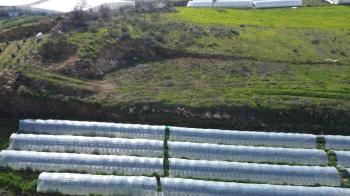 ANAMUR MALAKLAR 5000 M2 TARLA