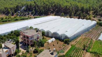 ANAMUR OVABAŞI KURULU DÜZEN MUZ SERASI VE 3 KATLI BİNA
