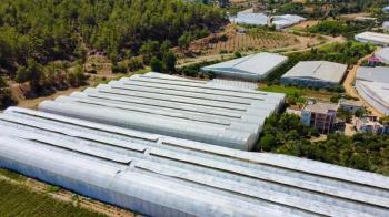 ANAMUR OVABAŞI KURULU DÜZEN MUZ SERASI VE 3 KATLI BİNA