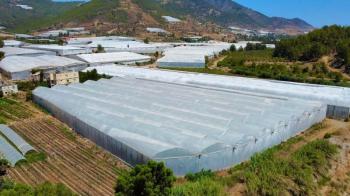 ANAMUR OVABAŞI KURULU DÜZEN MUZ SERASI VE 3 KATLI BİNA