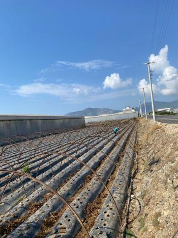 ANAMUR GÜZELYURT ANAYOL ÜZERİ SATILIK İMARLI ARSA