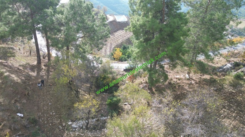 ANAMUR ÇATALOLUK SATILIK 5800 M2 TARLA