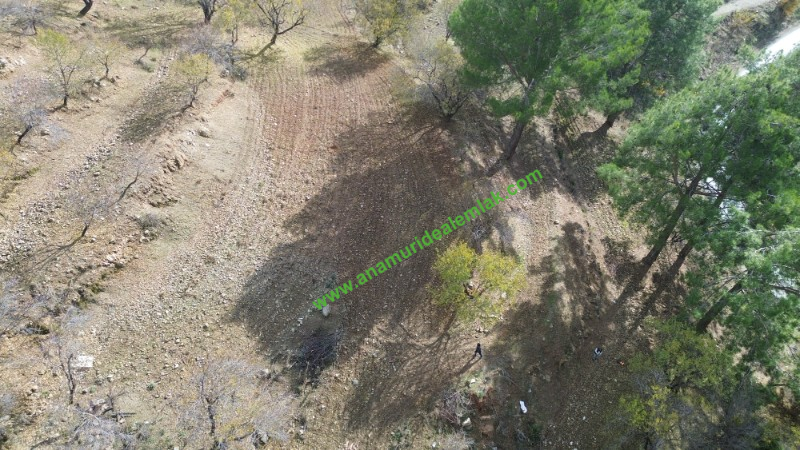 ANAMUR ÇATALOLUK SATILIK 5800 M2 TARLA