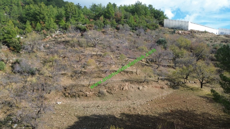 ANAMUR ÇATALOLUK SATILIK 5800 M2 TARLA