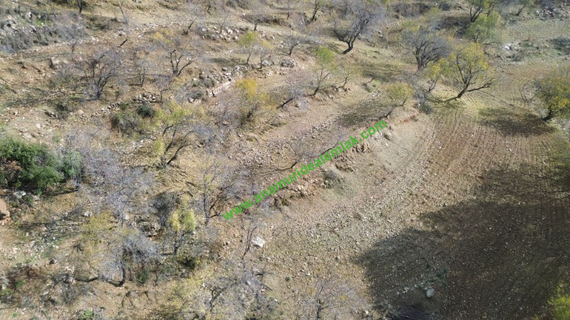 ANAMUR ÇATALOLUK SATILIK 5800 M2 TARLA