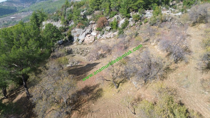 ANAMUR ÇATALOLUK SATILIK 5800 M2 TARLA