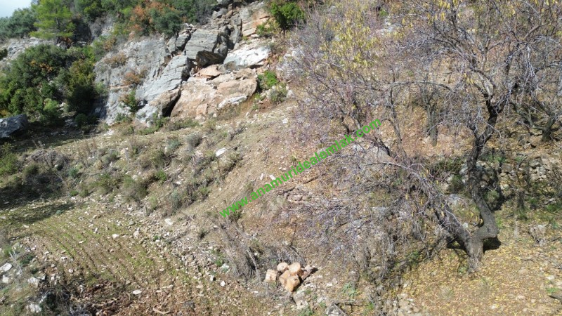 ANAMUR ÇATALOLUK SATILIK 5800 M2 TARLA