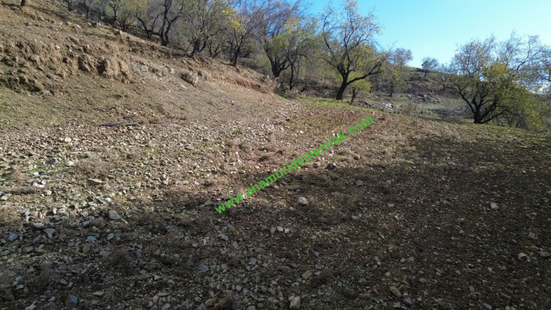 ANAMUR ÇATALOLUK SATILIK 5800 M2 TARLA