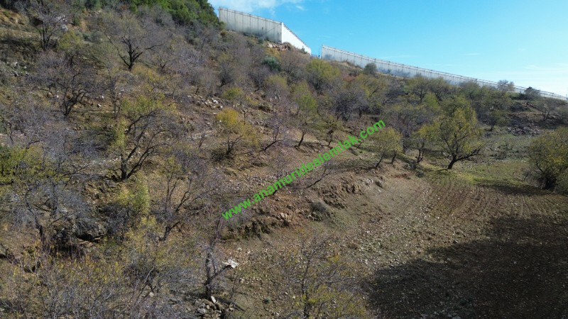 ANAMUR ÇATALOLUK SATILIK 5800 M2 TARLA