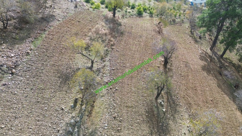 ANAMUR ÇATALOLUK SATILIK 5800 M2 TARLA