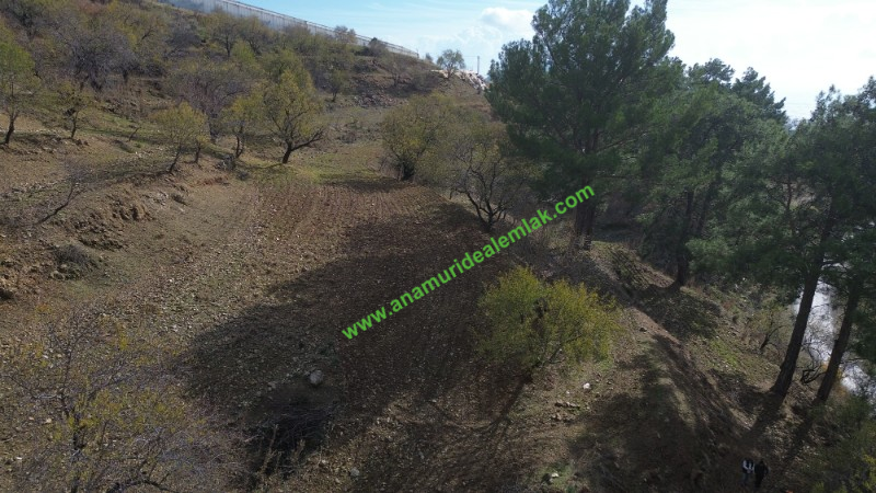 ANAMUR ÇATALOLUK SATILIK 5800 M2 TARLA