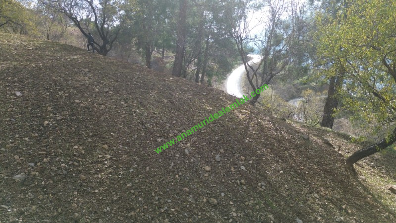ANAMUR ÇATALOLUK SATILIK 5800 M2 TARLA
