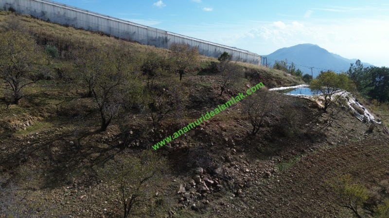 ANAMUR ÇATALOLUK SATILIK 5800 M2 TARLA
