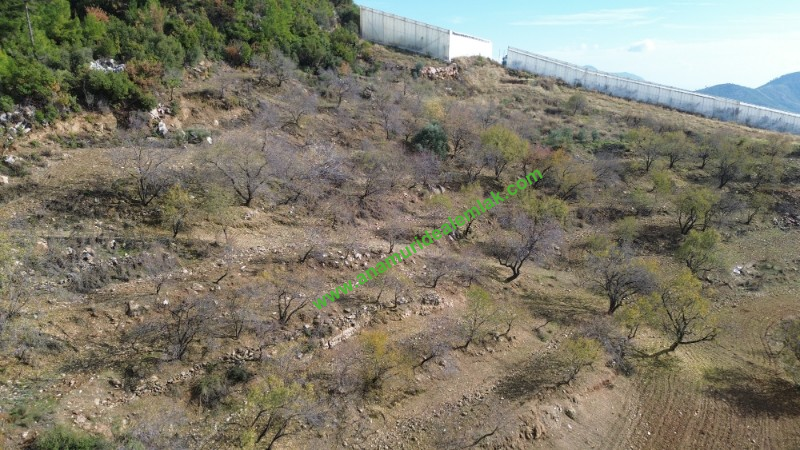 ANAMUR ÇATALOLUK SATILIK 5800 M2 TARLA