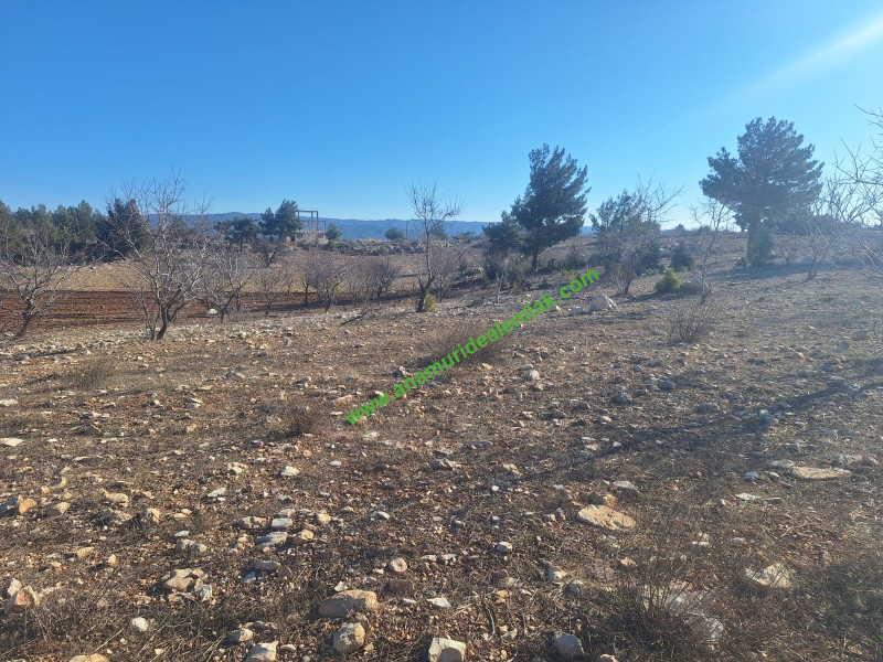 GÜLNAR SARAY MAHALLESİNDE SATILIK 10500 M2 TARLA