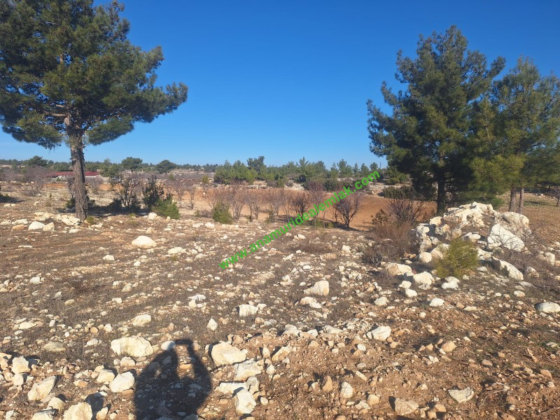 GÜLNAR SARAY MAHALLESİNDE SATILIK 10500 M2 TARLA