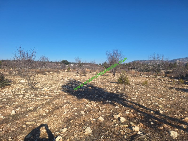 GÜLNAR SARAY MAHALLESİNDE SATILIK 10500 M2 TARLA