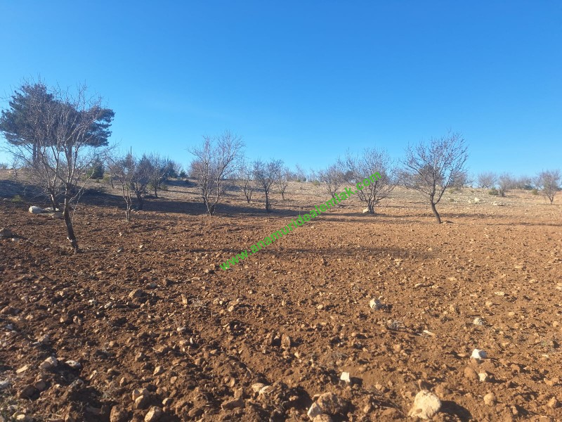 GÜLNAR SARAY MAHALLESİNDE SATILIK 10500 M2 TARLA